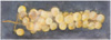 Sarjasta rypäleitä / From series of Grapes, 2009, 18 x 51 cm 